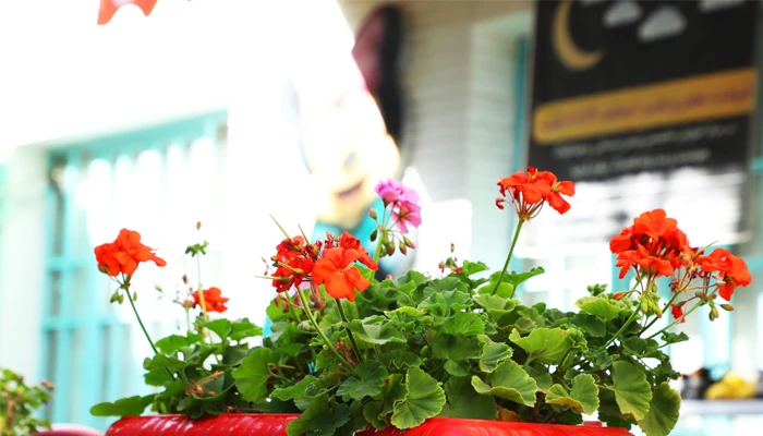 اهداف کارگاه مادر و کودک چیست+ بررسی صفر تا صد نحوه برگزاری کارگاه